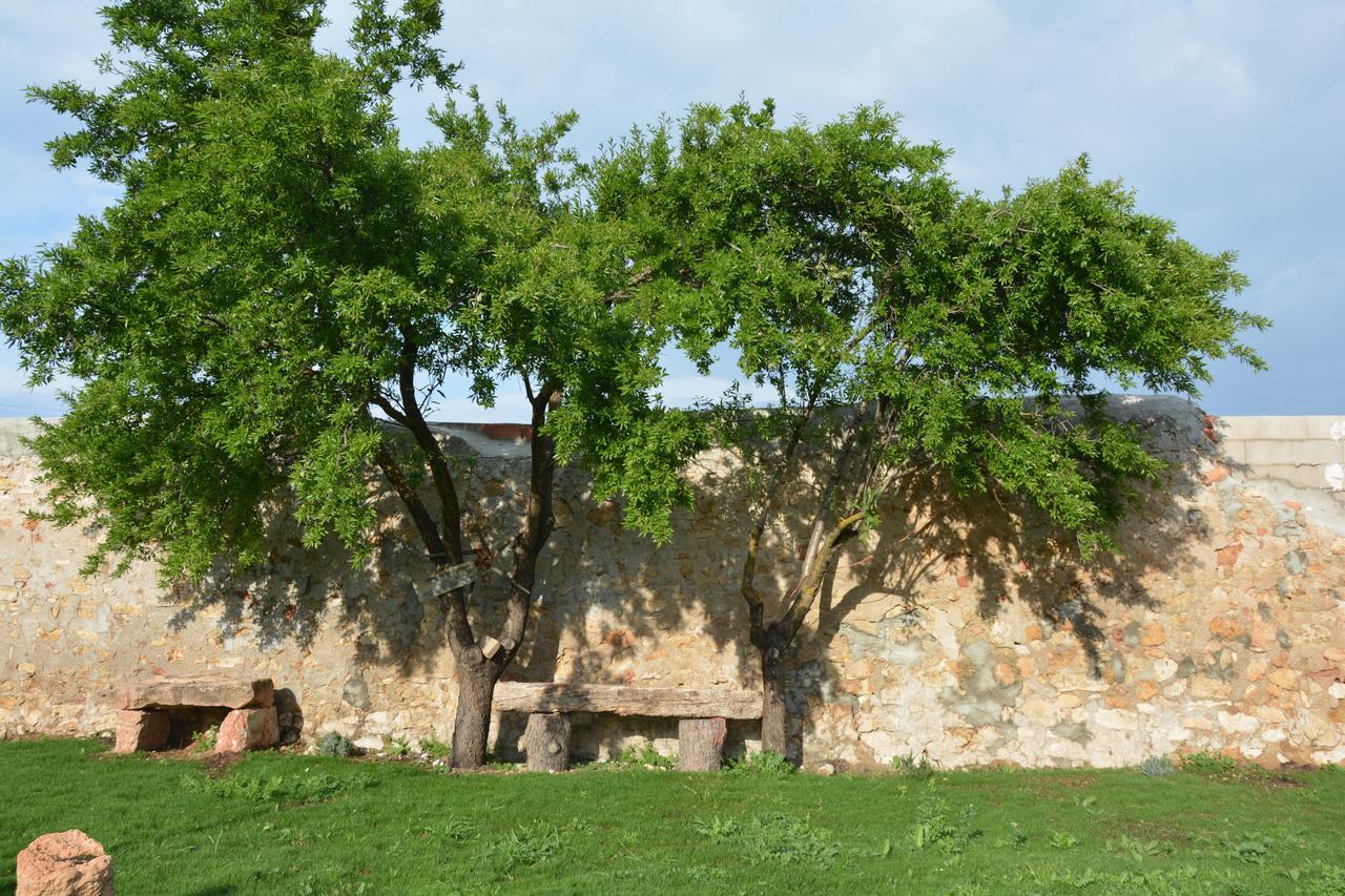 Casa Rural Aromas De La Manchuela Alborea Ngoại thất bức ảnh