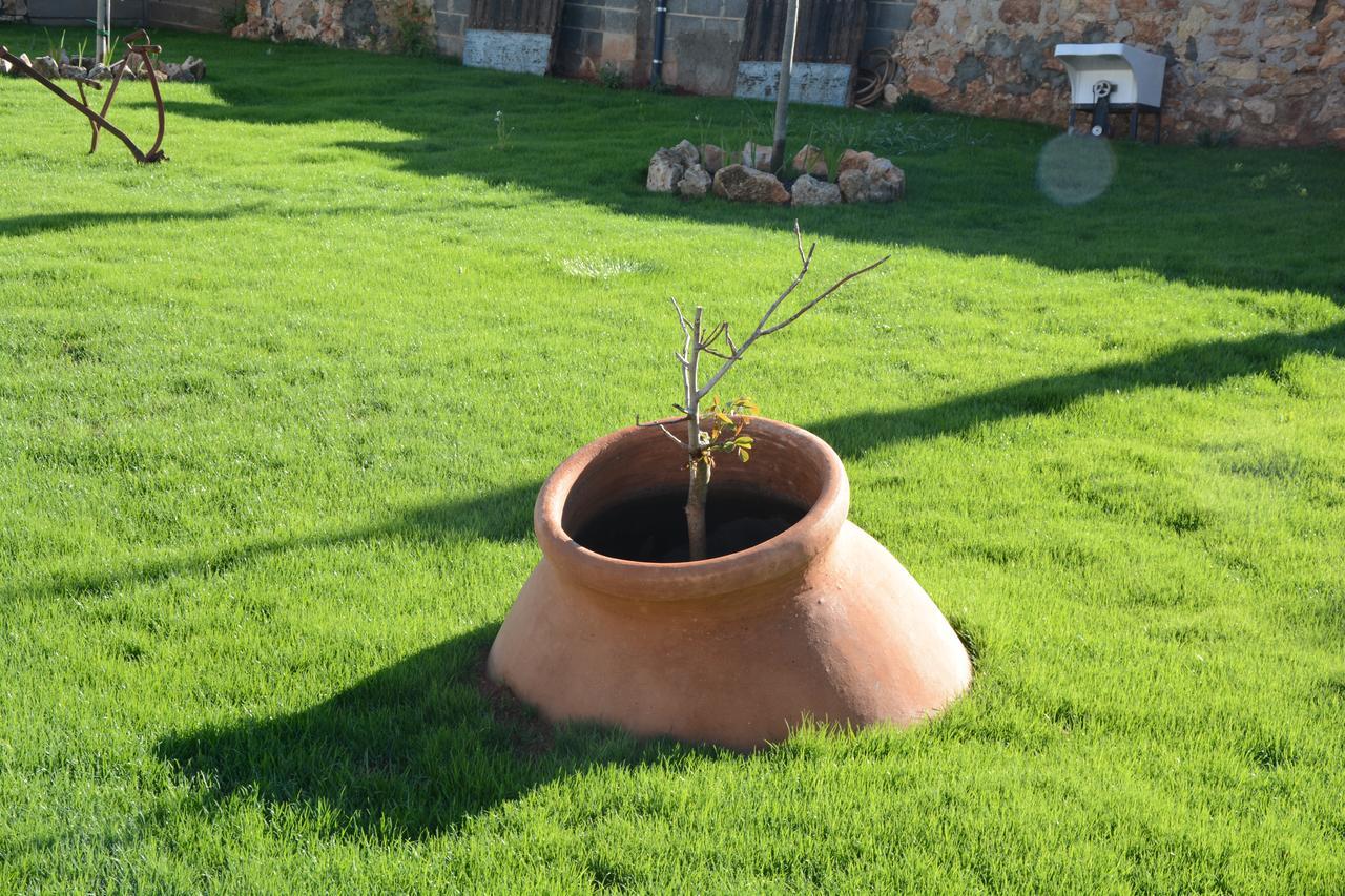 Casa Rural Aromas De La Manchuela Alborea Ngoại thất bức ảnh